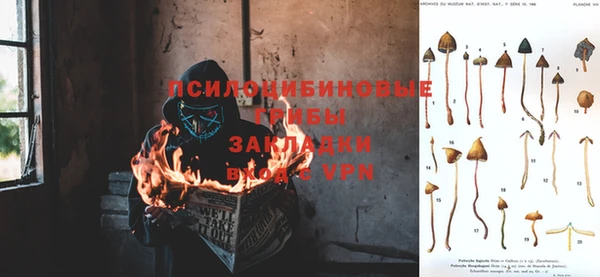 кокаин премиум Алексин